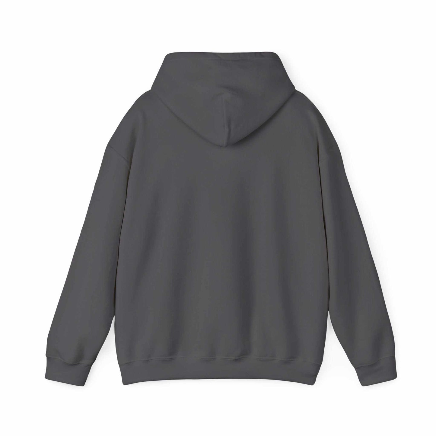 Hoodie for Autism Awareness