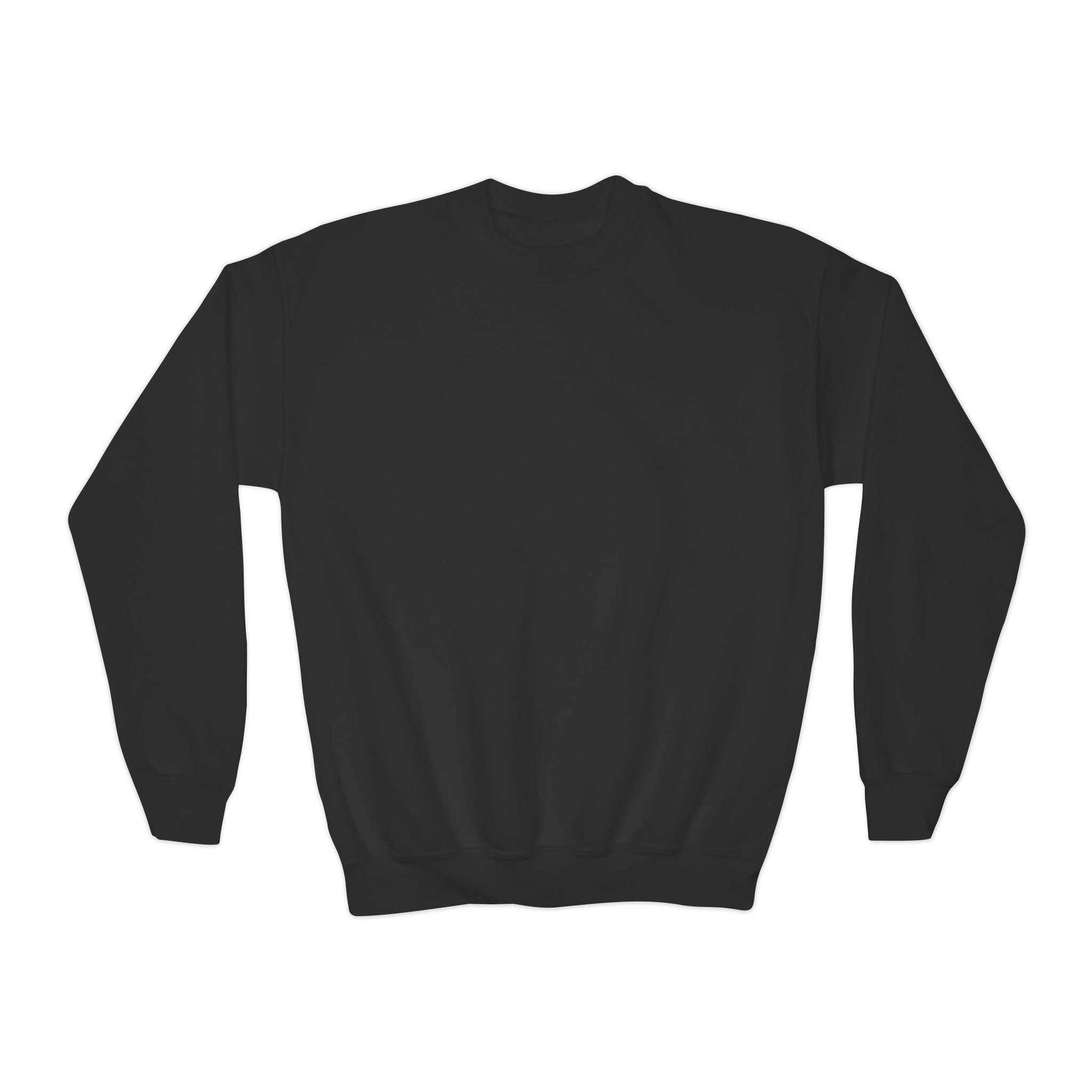embroidered sweatshirts