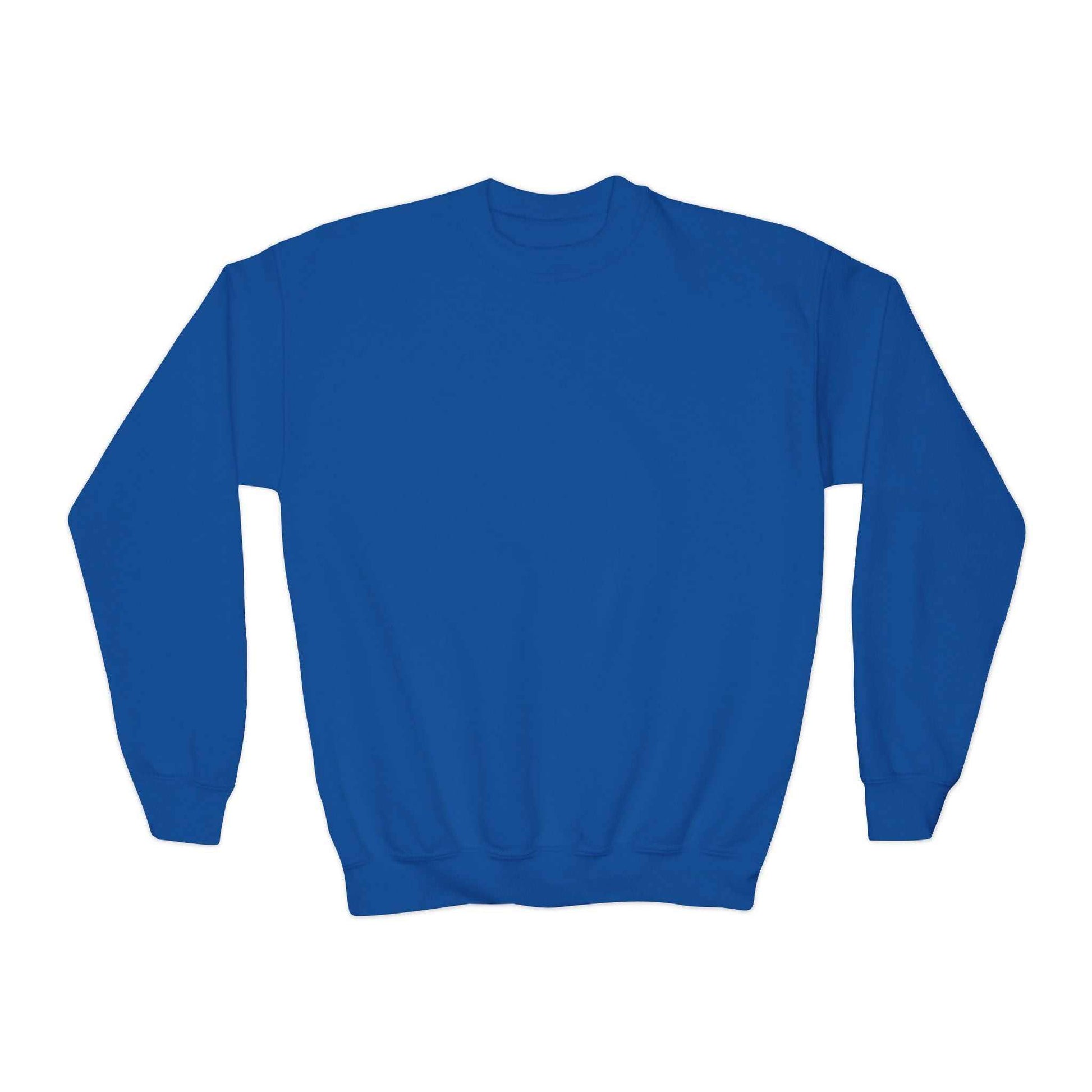 embroidered sweatshirts