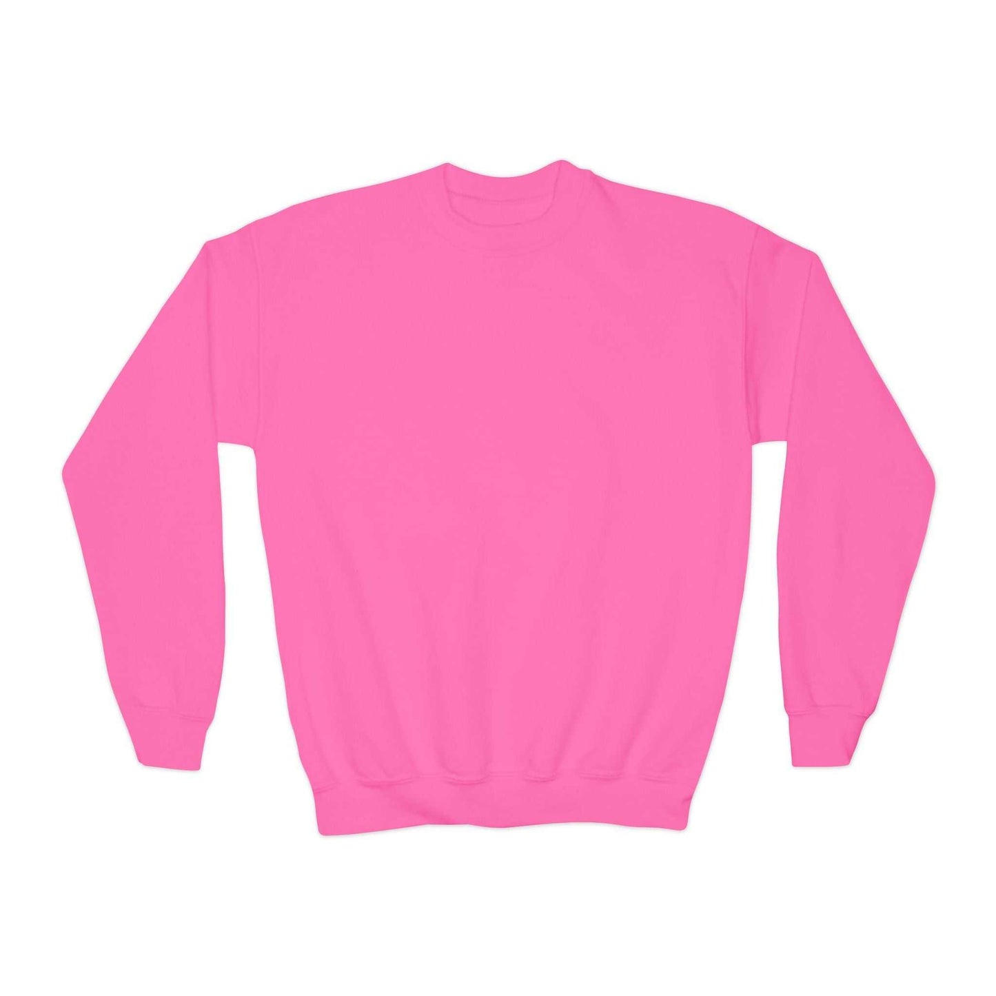 embroidered sweatshirts