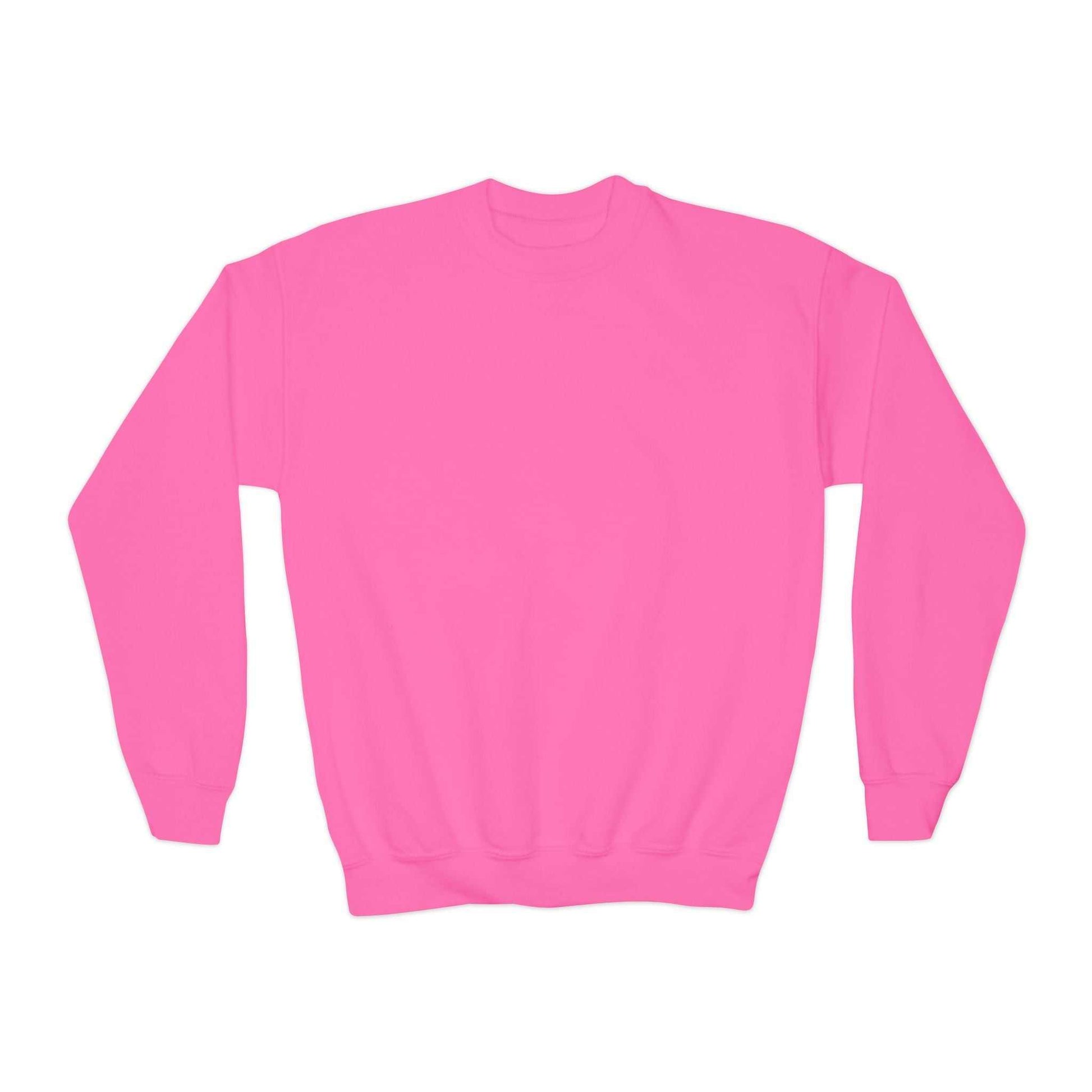 embroidered sweatshirts